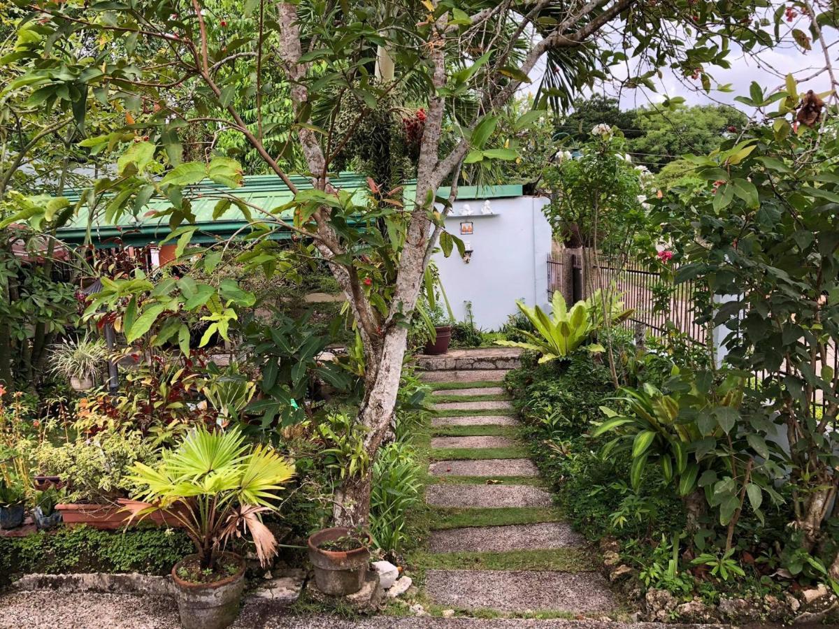 Villa 301 B&B Baclayon Extérieur photo