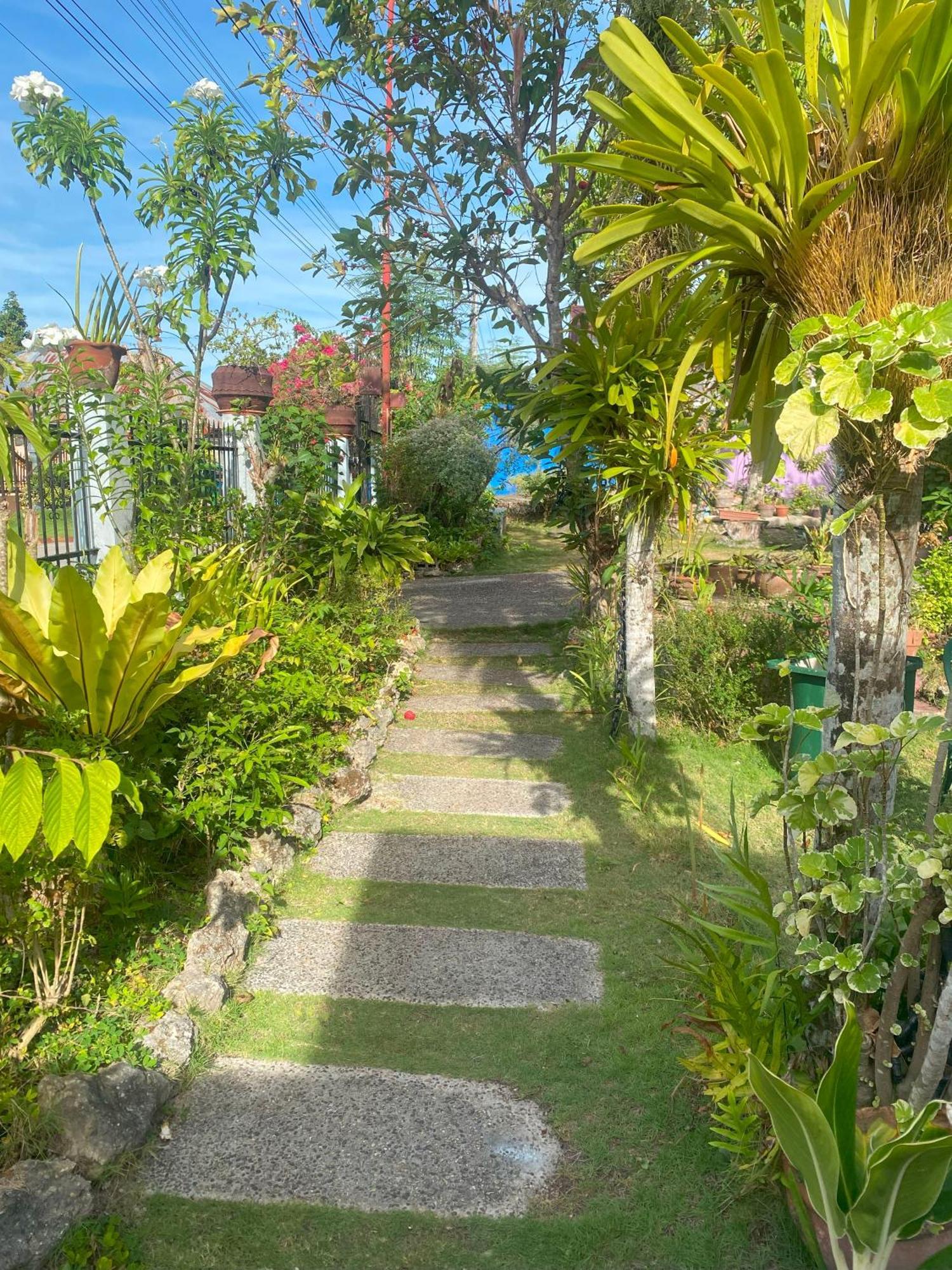 Villa 301 B&B Baclayon Extérieur photo