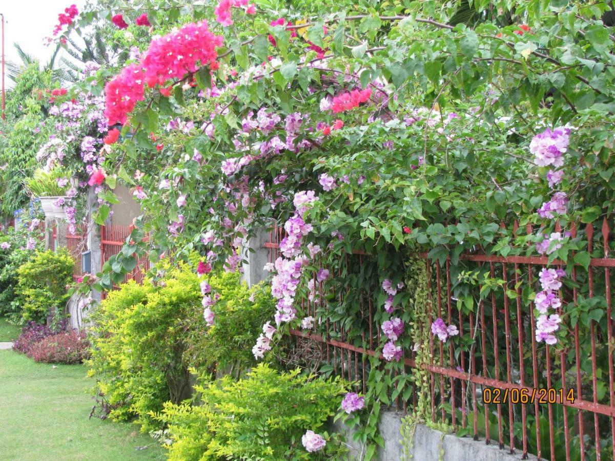 Villa 301 B&B Baclayon Extérieur photo